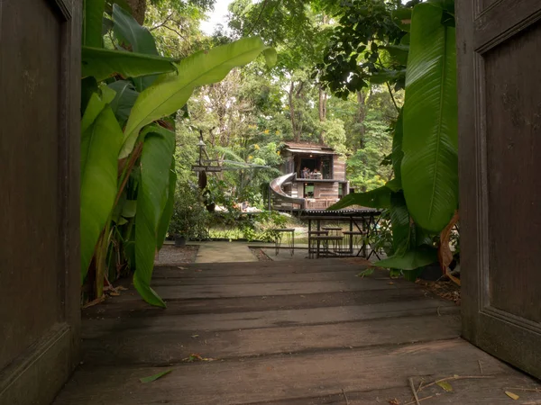 Chiang Mai, Tayland Bahçe yolu ve kahve dükkanı açık kapılar