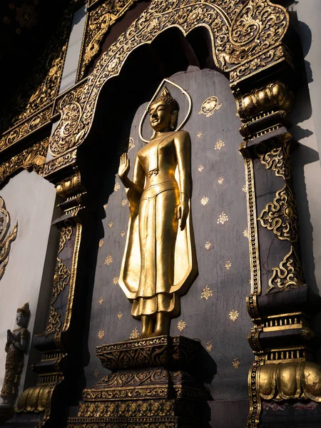Buda heykeli altın siyah backgroud, Chiang Mai Tayland Wat üzerinde duran