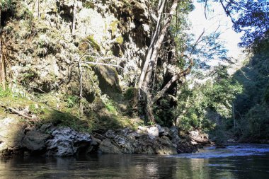 Şelale Huai Mae Klong Kee Rive. Hindistan cevizi, nehir. Tayland 'da rainblow şelale Huai Mae Klong Kee nehir Beautyful tropikal orman,