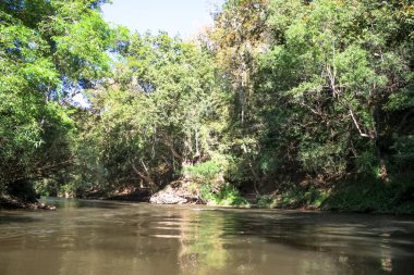 Tropikal yağmur ormanları. Mae Klong Nehri, Tayland'ın kuzeybatısında, Tak Eyaleti'nde. Locationamphoe Umphang Tak Province, Batı Tayland.