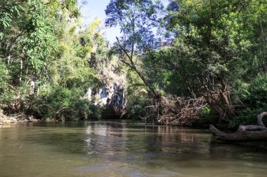 Tropikal yağmur ormanları. Mae Klong Nehri, Tayland'ın kuzeybatısında, Tak Eyaleti'nde. Locationamphoe Umphang Tak Province, Batı Tayland.