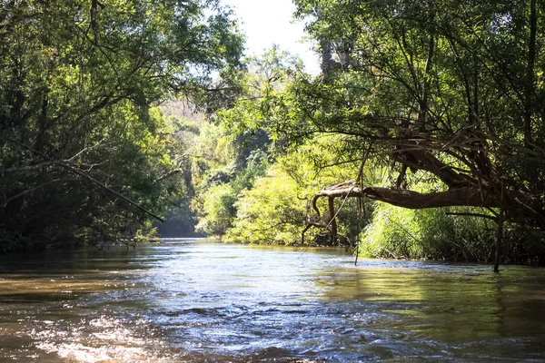 Floresta Tropical Rio Mae Klong Província Tak Noroeste Tailândia Localização — Fotografia de Stock