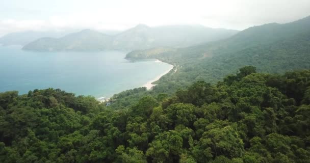 Vue Aérienne Sur Forêt Mata Atlantica Jusqu Plage Castelhano Ilhabela — Video