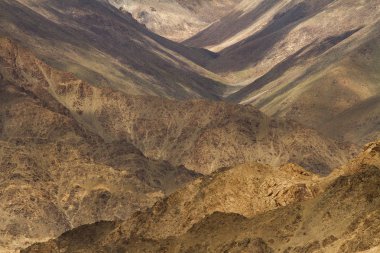 Yüksek dağlık tür Kuzey Hindistan, Ladakh