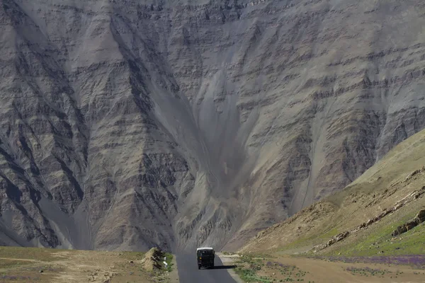 Yüksek dağlık tür Kuzey Hindistan, Ladakh