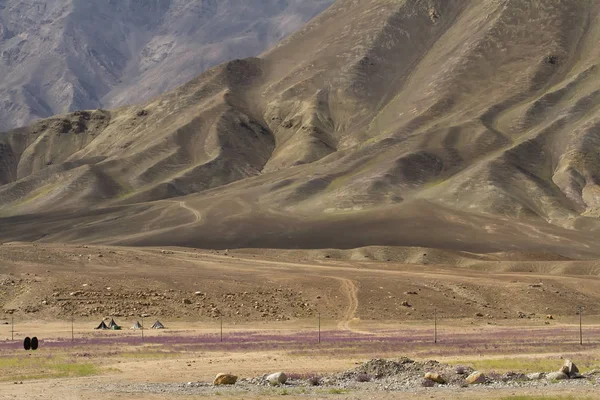 Yüksek dağlık tür Kuzey Hindistan, Ladakh