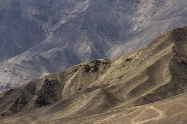 Yüksek dağlık tür Kuzey Hindistan, Ladakh
