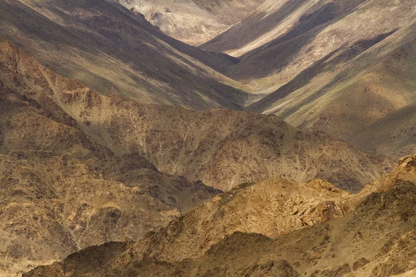 Yüksek dağlık tür Kuzey Hindistan, Ladakh