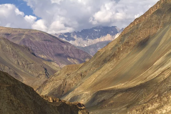 Yüksek dağlık tür Kuzey Hindistan, Ladakh