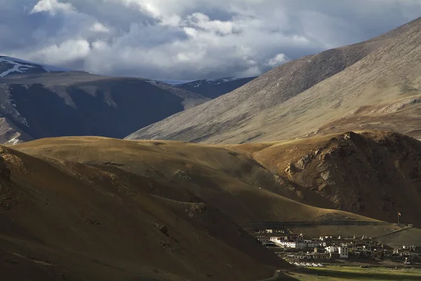 Yüksek dağlık tür Kuzey Hindistan, Ladakh