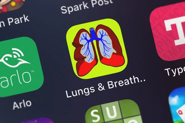 London Wielka Brytania Października 2018 Bliska Strzał Oddechowych Płuc Choroby — Zdjęcie stockowe