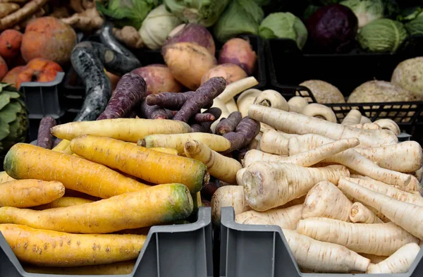 Different kinds of carrot and parsnip in boxes at market.