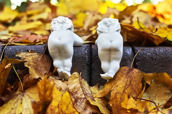 Komik Beyaz Seramik Angels Küçük Kanatları Ile Sonbahar Park Arkadan — Stok fotoğraf