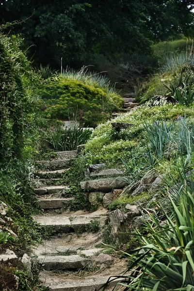 Un mystérieux escalier de pierre à moitié ruiné dans un fourré forestier . — Photo