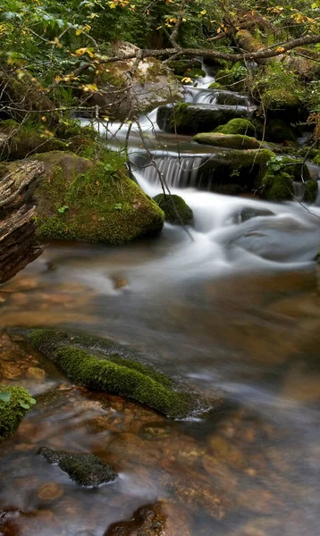 Su fotoğrafı. Rusya 'nın doğası