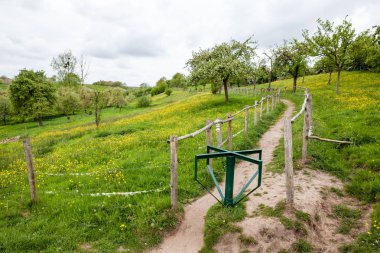 Bu çit meyve ağaçları arasında çayır üzerinde duruyor