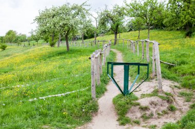 Bu çit meyve ağaçları arasında çayır üzerinde duruyor