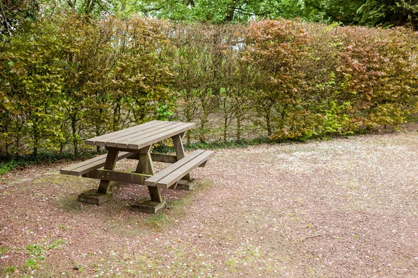 Gammal Antik Stol Står Naturen Väg — Stockfoto