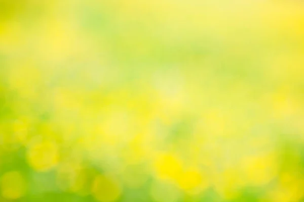 Abstract Dandelion Whit Grass Field — Stock Photo, Image