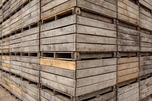 Gestapelte Holztonnen Während Der Blüten Der Obstbäume Die Die Straße — Stockfoto