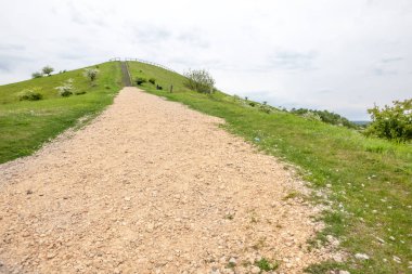 Doğada bu güzel merdiven cennete yoludur