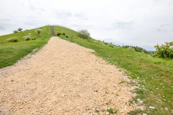 Doğada bu güzel merdiven cennete yoludur