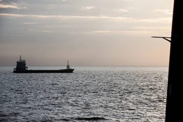 Cargo Navigue Mer Sur Côte Néerlandaise — Photo