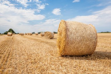 ürün hasat sonrası, bir saman balya artı ile yapıldı