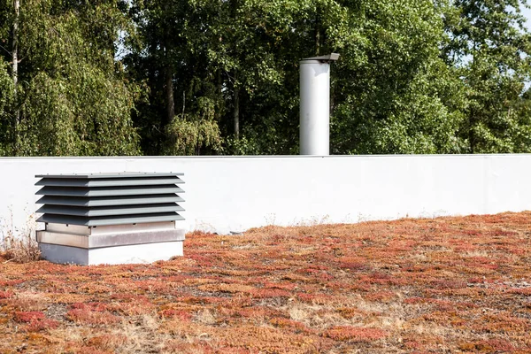 Auf Einem Großen Gebäude Gibt Ein Ökologisch Begrüntes Flachdach Mit — Stockfoto