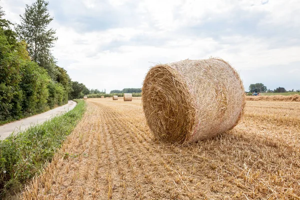 Nach Der Ernte Wurde Mit Dem Überschuss Ein Heuballen Hergestellt — Stockfoto