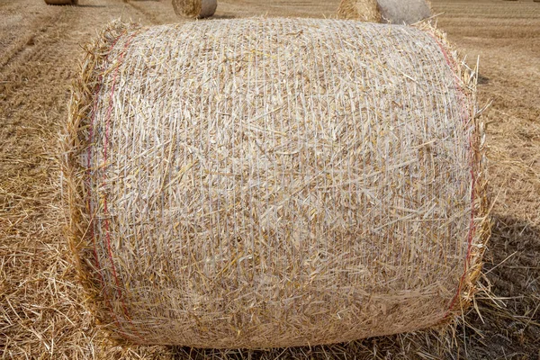 Nach Der Ernte Wurde Mit Dem Überschuss Ein Heuballen Hergestellt — Stockfoto