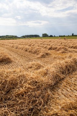 ürün hasat sonrası, bir saman balya artı ile yapıldı