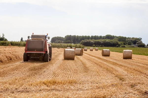 ürün hasat sonrası, bir saman balya artı ile yapıldı