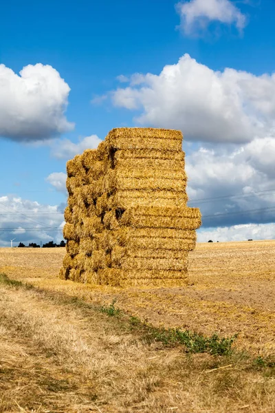 Auf Dem Feld Stapelt Sich Heu — Stockfoto