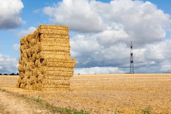 Auf Dem Feld Stapelt Sich Heu — Stockfoto