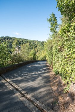 Alman orman yoluyla bir yol