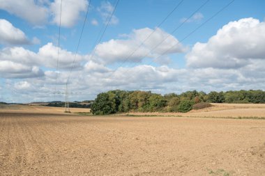 elektrik direkleri ile bulutlu bir günde bir doğa rezerv