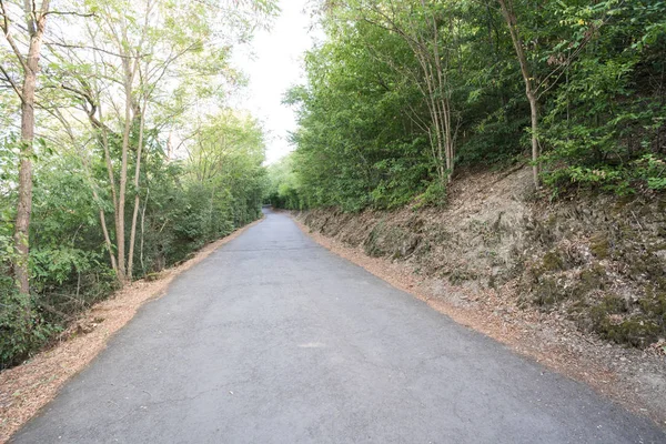 Eine Straße Durch Den Deutschen Wald — Stockfoto