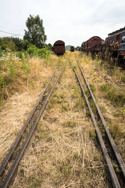 Train Est Jeté Hin Finit Dans Cimetière Train — Photo