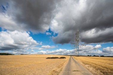 elektrik direkleri ile bulutlu bir günde bir doğa rezerv