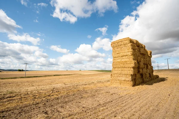 Auf Dem Feld Stapelt Sich Heu — Stockfoto