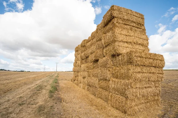 Auf Dem Feld Stapelt Sich Heu — Stockfoto