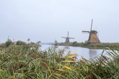 Hollanda 'da Kinderdijk' te birkaç yel değirmeni vardır.