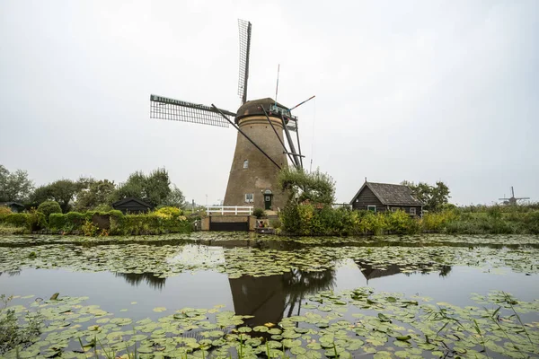 Wodzie Znajduje Się Kilka Wiatraków Kinderdijk Holandii — Zdjęcie stockowe