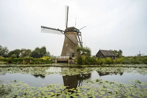 Agua Hay Varios Molinos Viento Kinderdijk Holanda — Foto de Stock