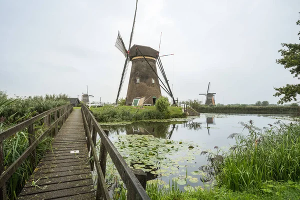 Воде Несколько Ветряных Мельниц Kinderdijk Голландии — стоковое фото