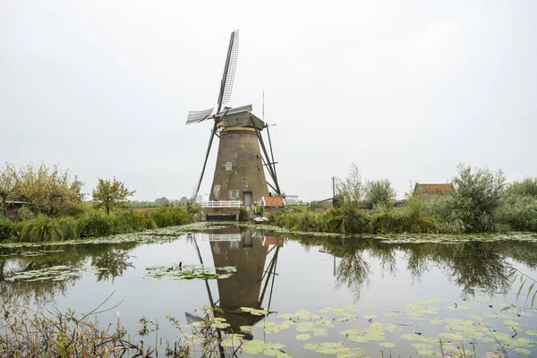 Wodzie Znajduje Się Kilka Wiatraków Kinderdijk Holandii — Zdjęcie stockowe