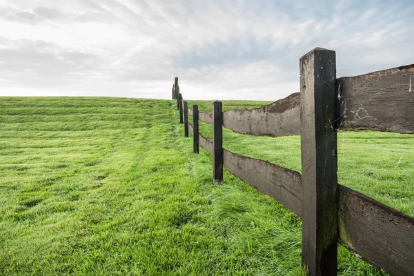 Gräs Fält Och Ett Staket Med Inskriptionen Ingen Passage Privat — Stockfoto