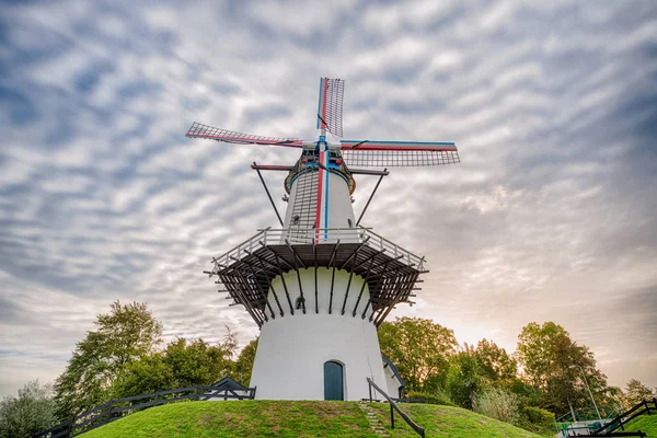 Воде Ветряные Мельницы Дейле Голландии — стоковое фото