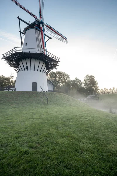 Воде Ветряные Мельницы Дейл Голландии Лягушачье Утро — стоковое фото
